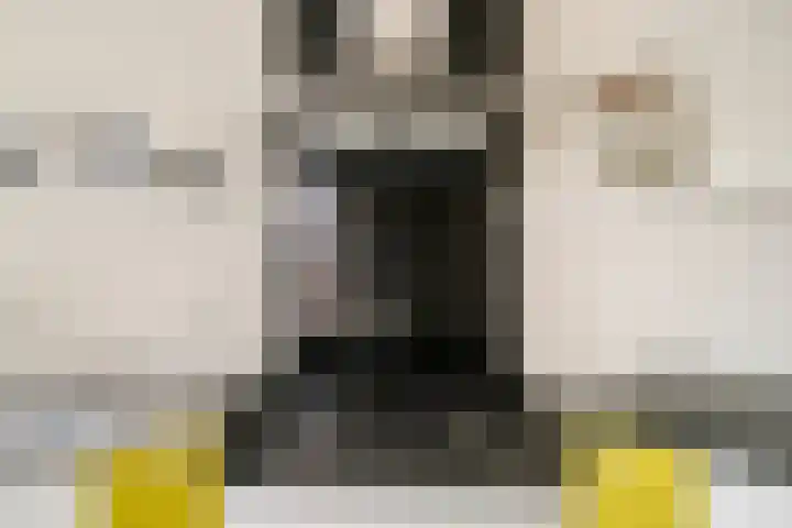 De Biezen 28 Venhorst thumbnail 23