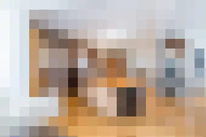 De Biezen 28 Venhorst thumbnail 31