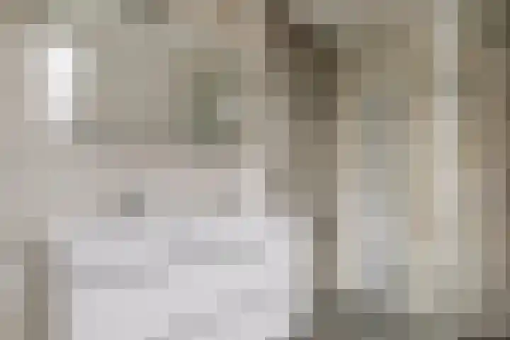 De Biezen 28 Venhorst thumbnail 33