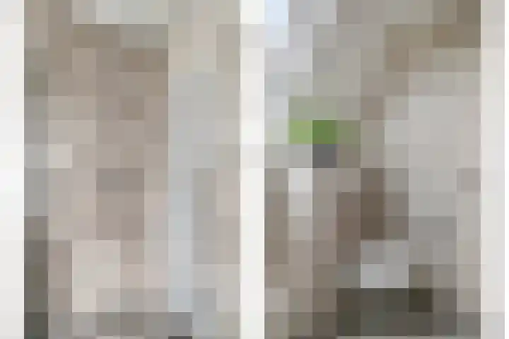 De Biezen 28 Venhorst thumbnail 34