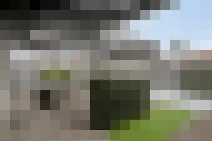 De Biezen 28 Venhorst thumbnail 35