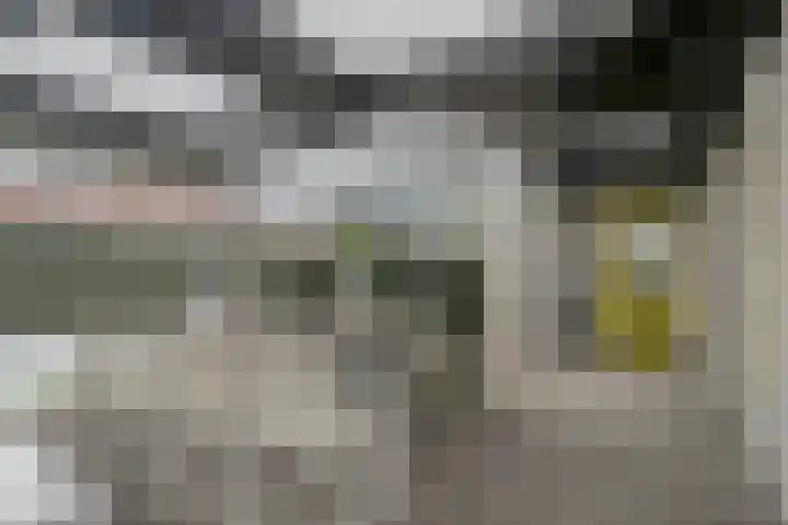 De Biezen 28 Venhorst thumbnail 36
