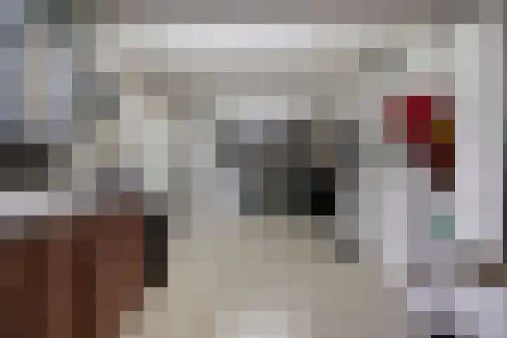 De Biezen 28 Venhorst thumbnail 44