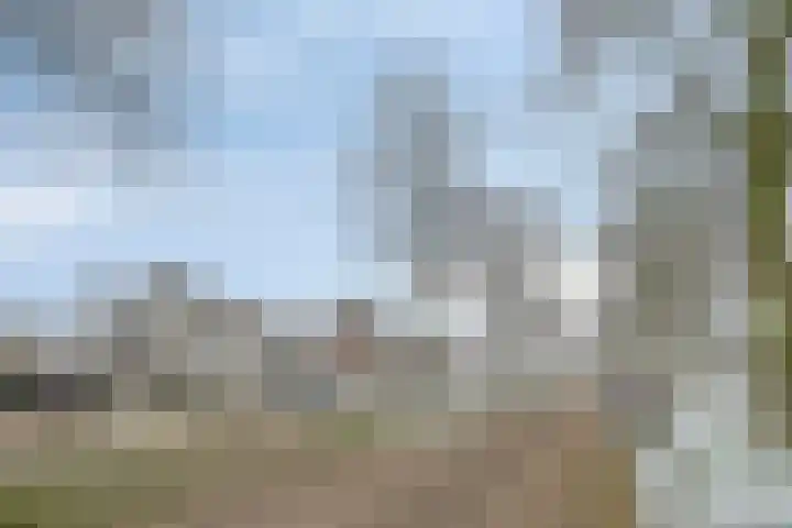 De Biezen 28 Venhorst thumbnail 9