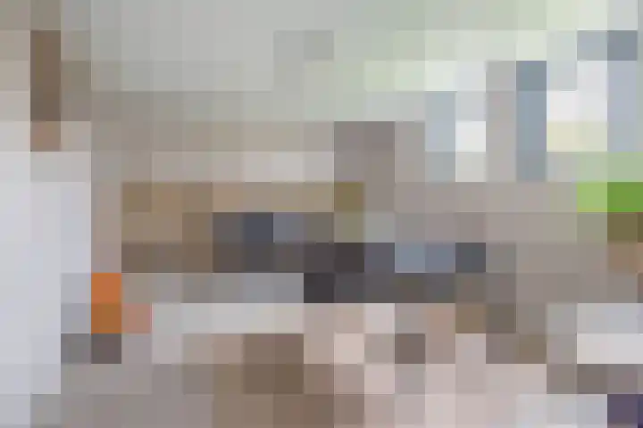De Bijvank 3 Dinxperlo thumbnail 20