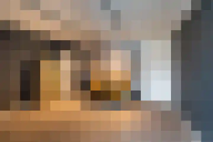De Bijvank 3 Dinxperlo thumbnail 22
