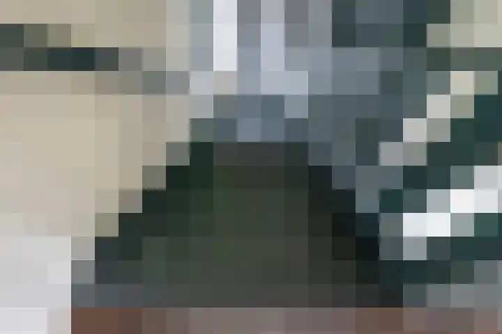 De Bijvank 3 Dinxperlo thumbnail 25