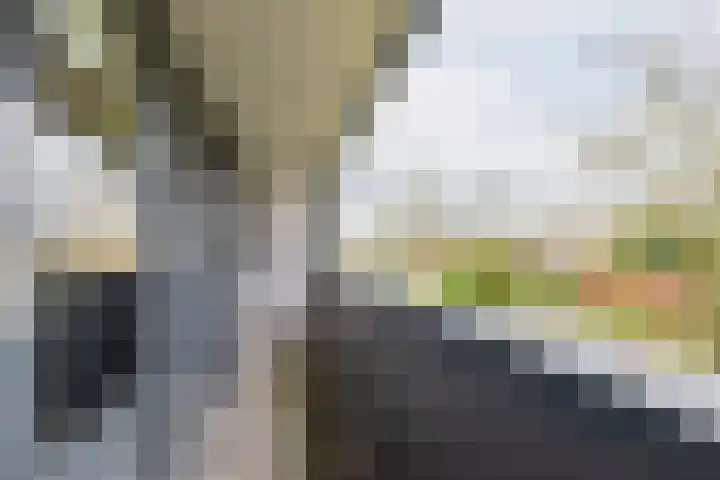 De Bijvank 3 Dinxperlo thumbnail 30