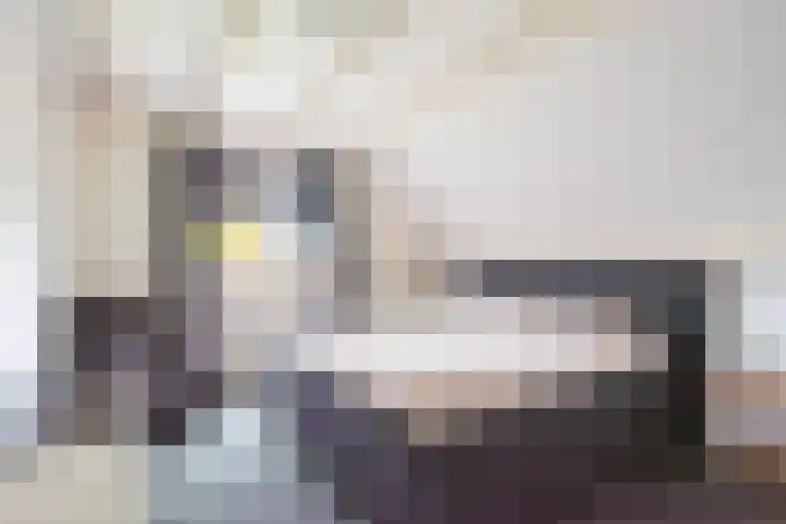 De Bijvank 3 Dinxperlo thumbnail 32