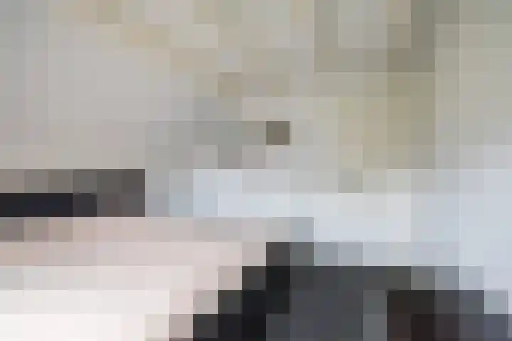 De Bijvank 3 Dinxperlo thumbnail 33
