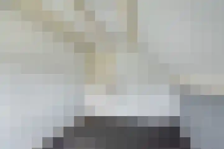 De Bijvank 3 Dinxperlo thumbnail 35