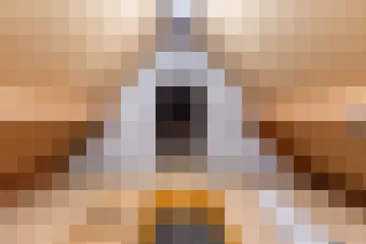 De Bijvank 3 Dinxperlo thumbnail 41