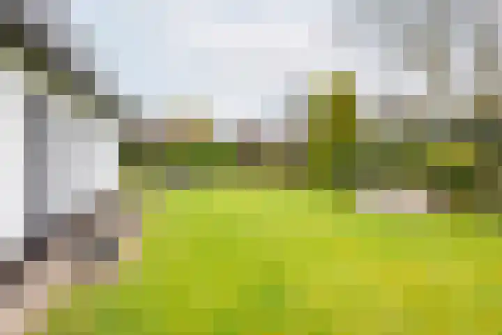 De Bijvank 3 Dinxperlo thumbnail 42
