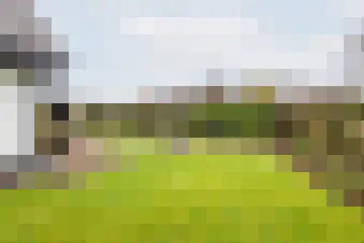 De Bijvank 3 Dinxperlo thumbnail 43