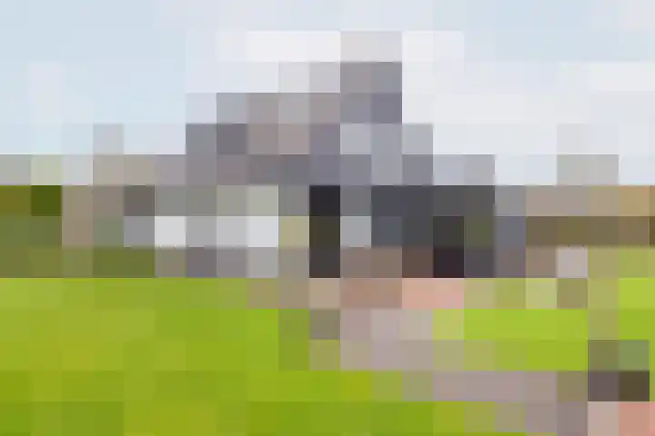 De Bijvank 3 Dinxperlo thumbnail 45
