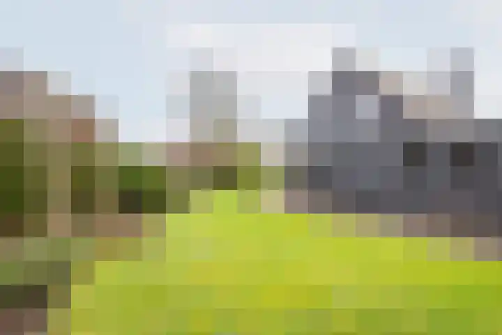 De Bijvank 3 Dinxperlo thumbnail 49