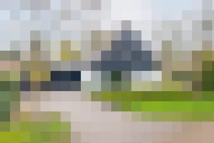 De Bijvank 3 Dinxperlo thumbnail 5