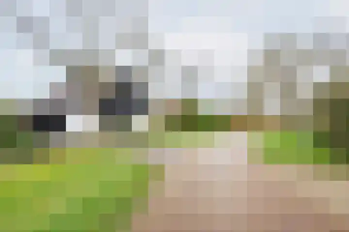 De Bijvank 3 Dinxperlo thumbnail 53
