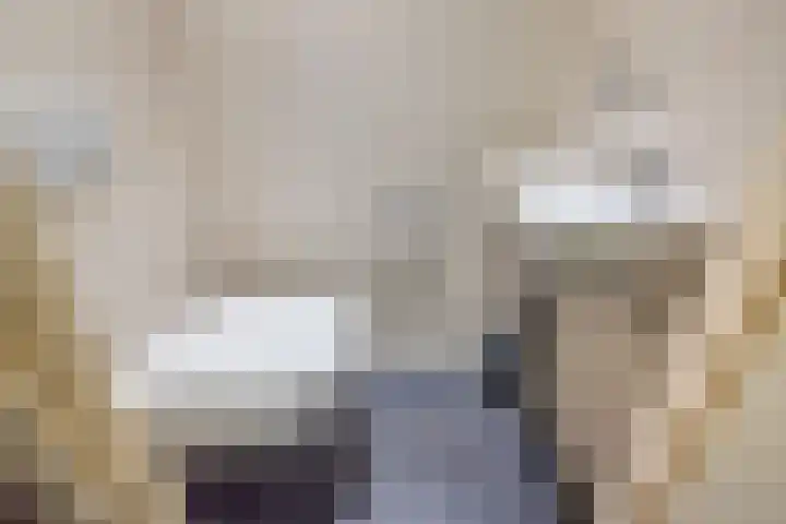 De Bijvank 3 Dinxperlo thumbnail 8
