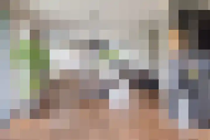 De Bijvank 3 Dinxperlo thumbnail 9