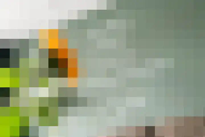 De Binnenplaats 41 Meteren thumbnail 13