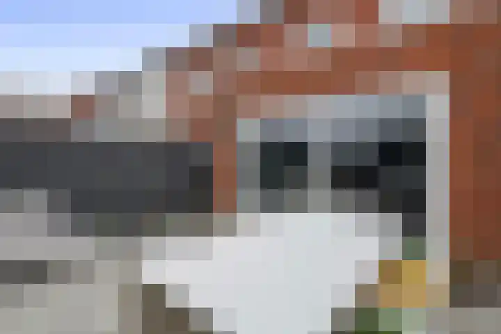 De Binnenplaats 41 Meteren thumbnail 19