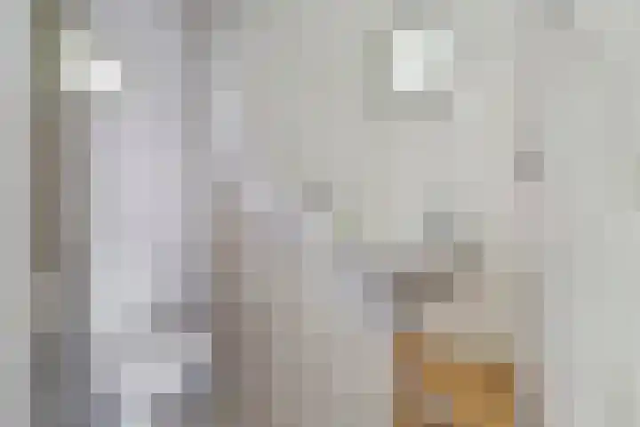 de Binnentuin 8 Soest thumbnail 10
