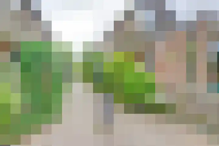 de Binnentuin 8 Soest thumbnail 19