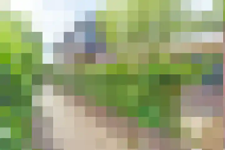de Binnentuin 8 Soest thumbnail 23
