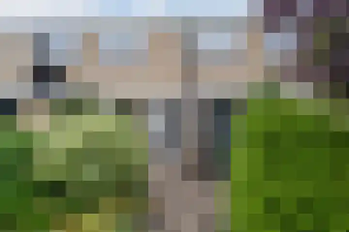 de Bird 50 Leeuwarden