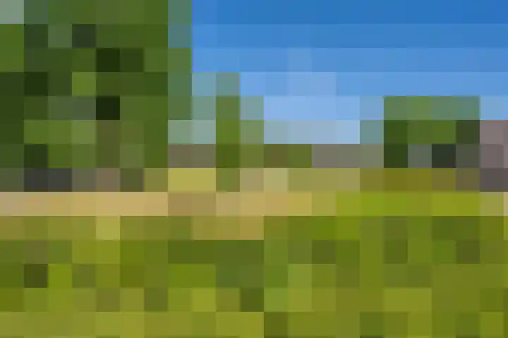De Bisweide 8 Grubbenvorst thumbnail 22