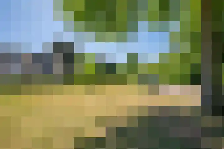 De Bisweide 8 Grubbenvorst thumbnail 23
