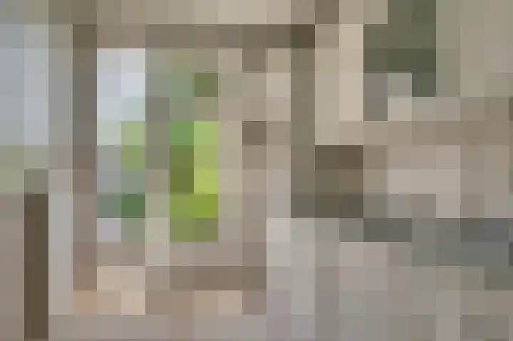 De Bisweide 8 Grubbenvorst thumbnail 5