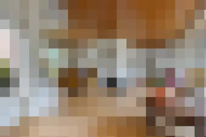 De Blaak 12 Eefde thumbnail 10