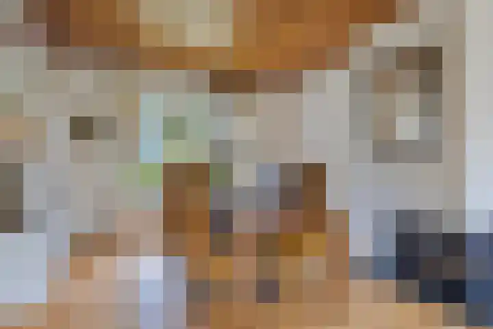 De Blaak 12 Eefde thumbnail 11