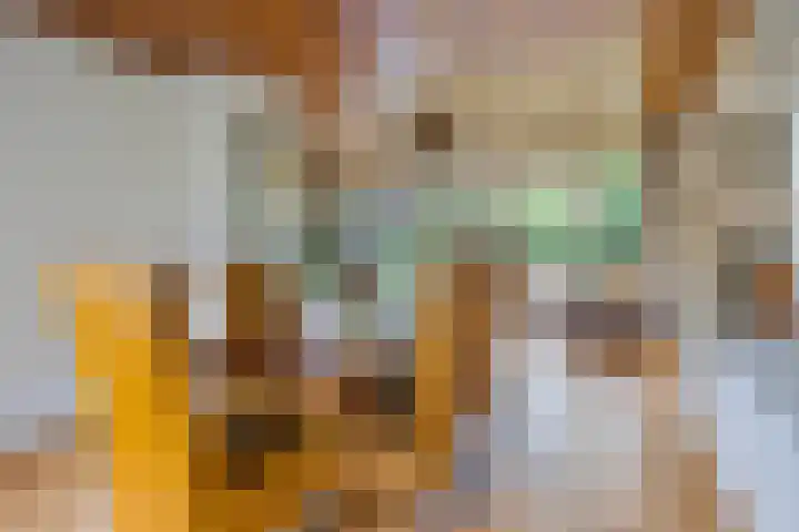 De Blaak 12 Eefde thumbnail 12
