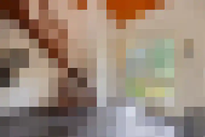 De Blaak 12 Eefde thumbnail 16