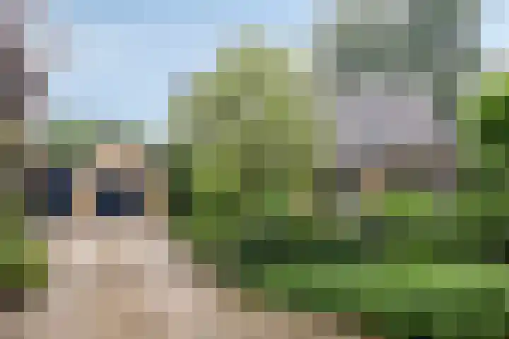 De Blaak 12 Eefde foto 2