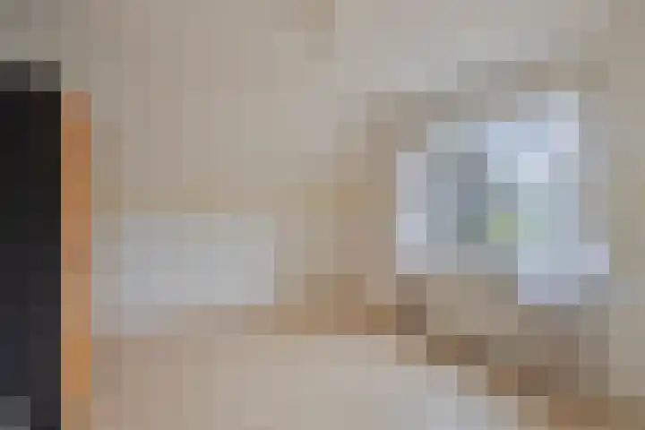 De Blaak 12 Eefde thumbnail 21
