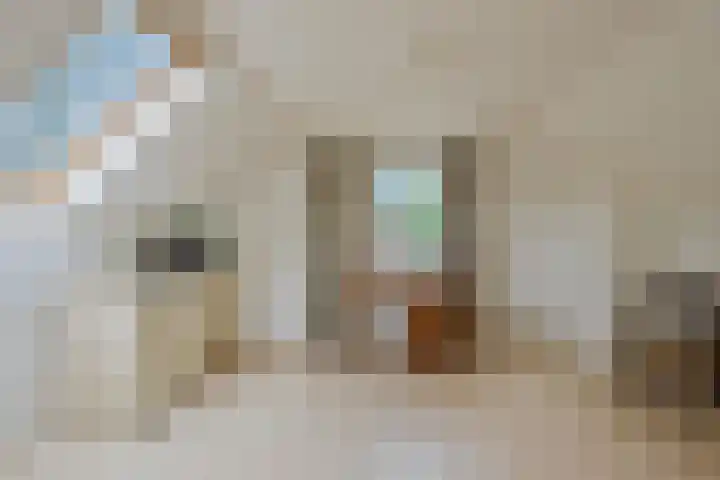 De Blaak 12 Eefde thumbnail 23