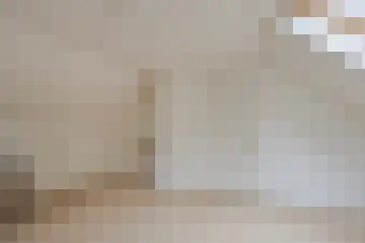 De Blaak 12 Eefde thumbnail 24