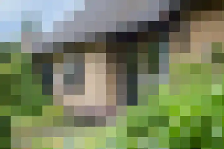 De Blaak 12 Eefde foto 3