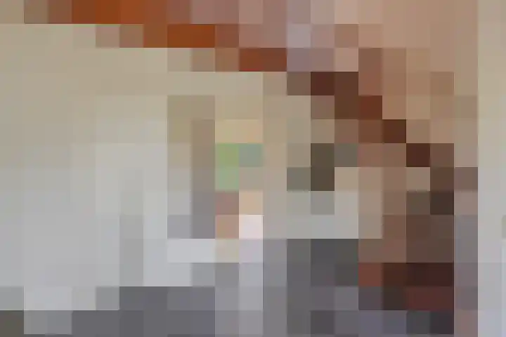 De Blaak 12 Eefde thumbnail 4