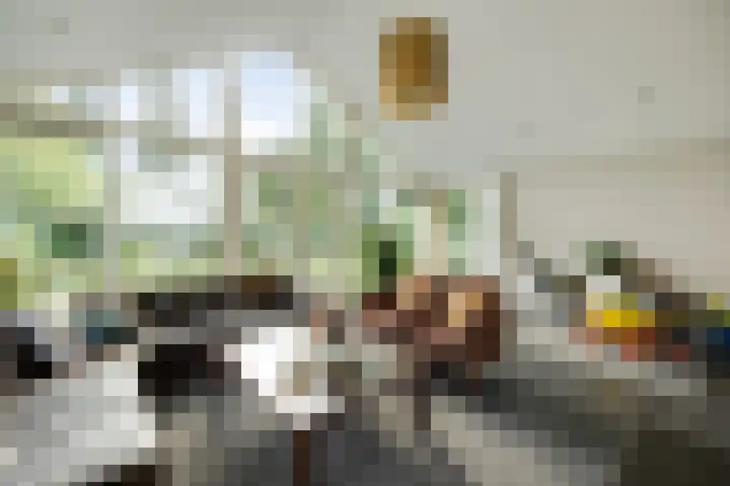 De Bleek 1 Liempde thumbnail 12