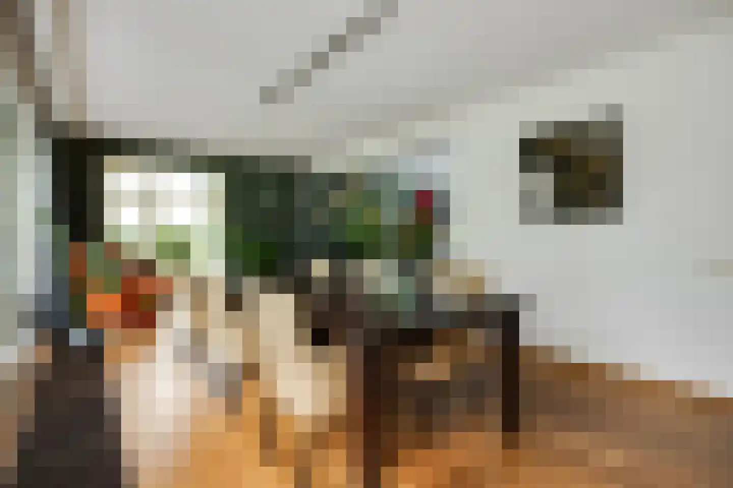 De Bleek 1 Liempde thumbnail 16