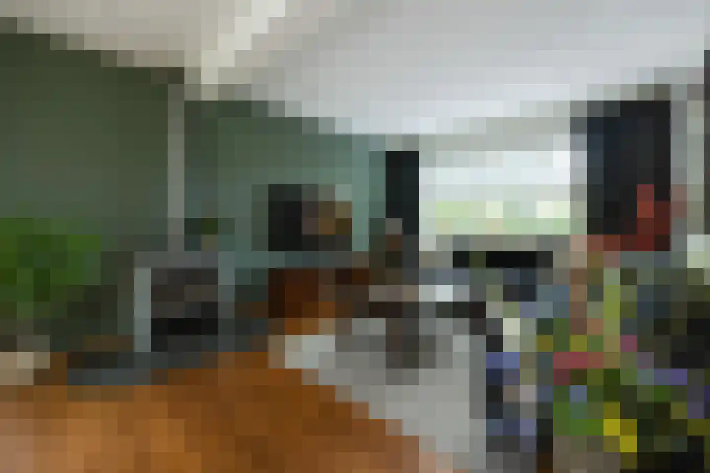 De Bleek 1 Liempde thumbnail 18