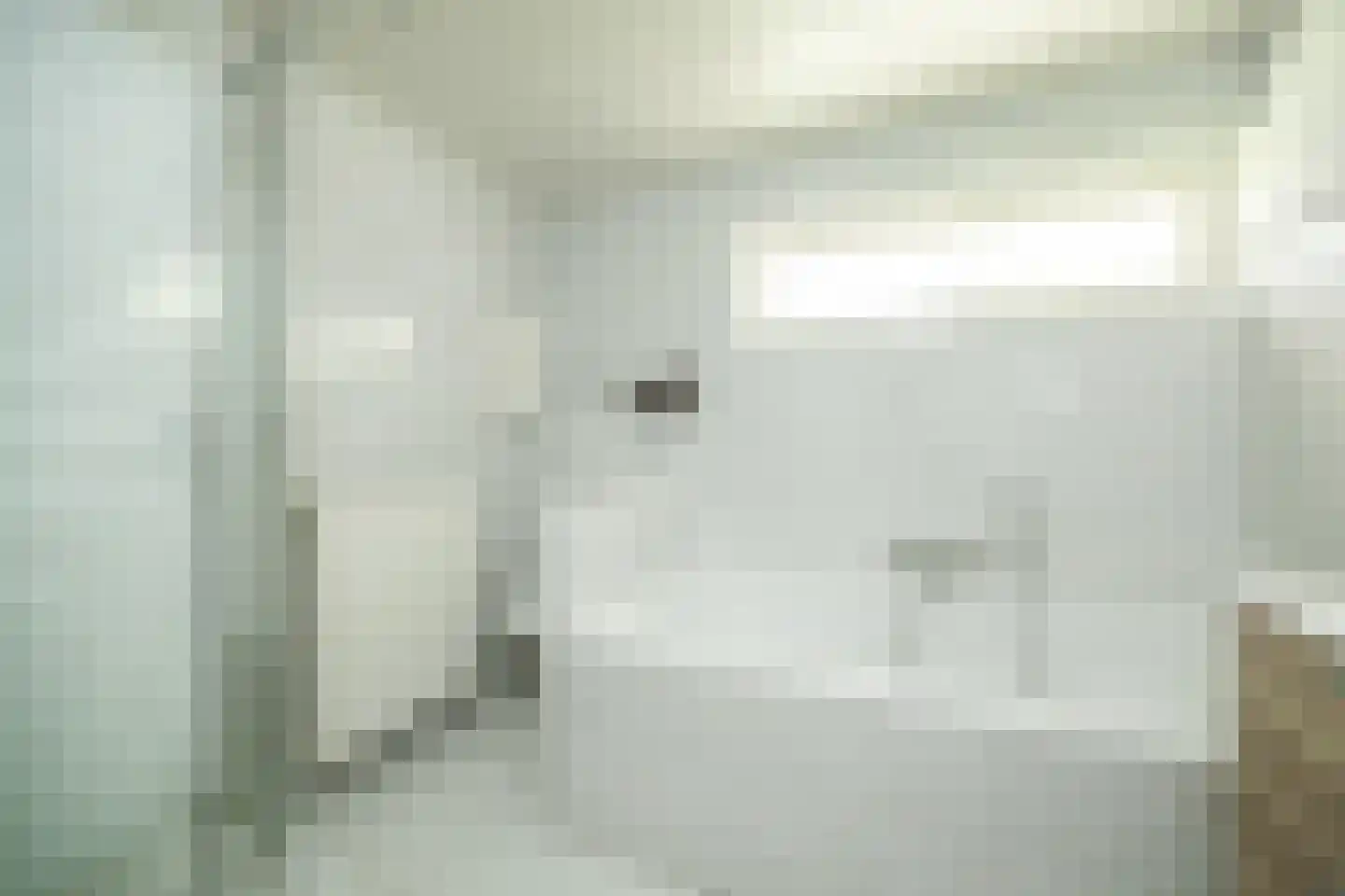De Bleek 1 Liempde thumbnail 41