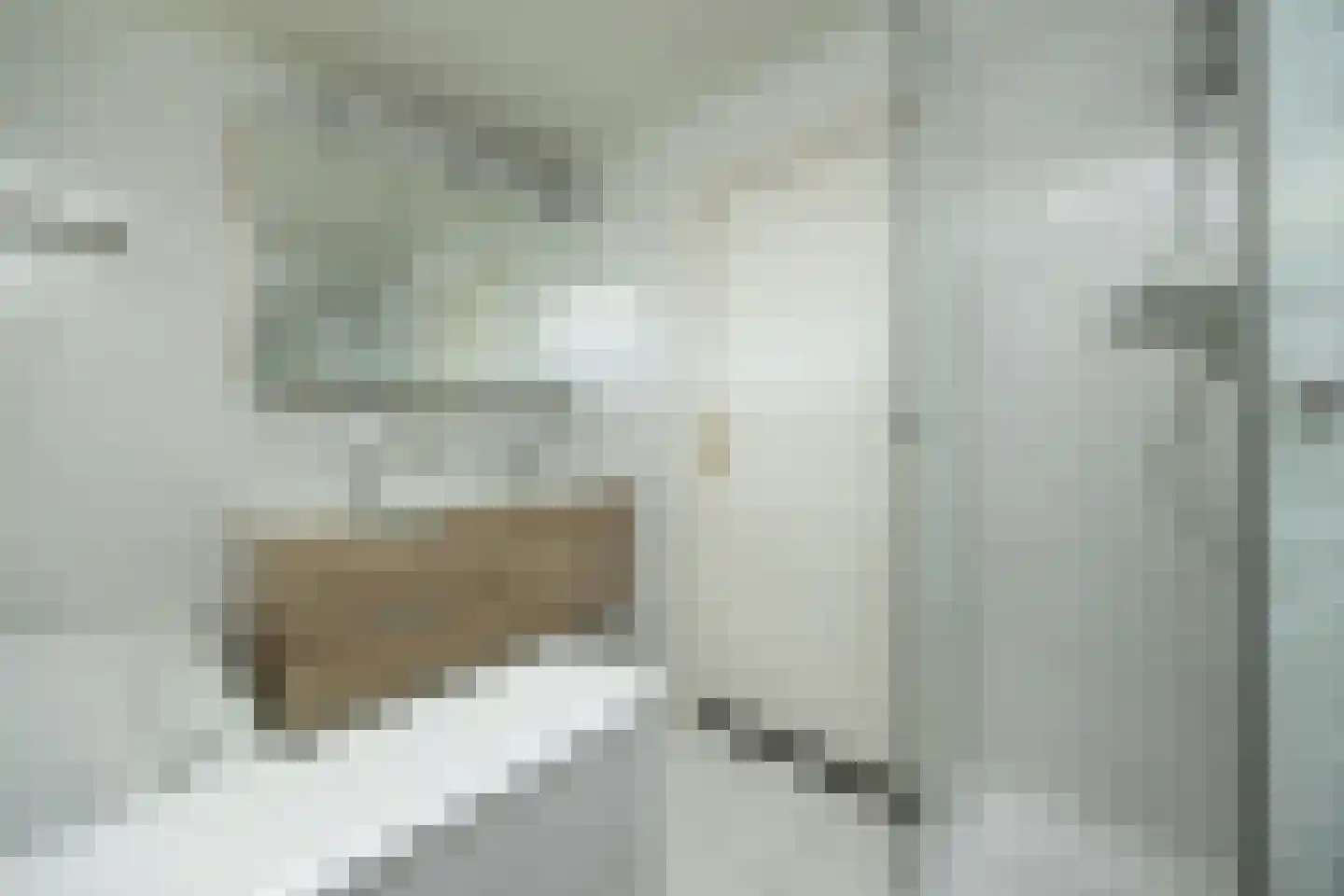De Bleek 1 Liempde thumbnail 42