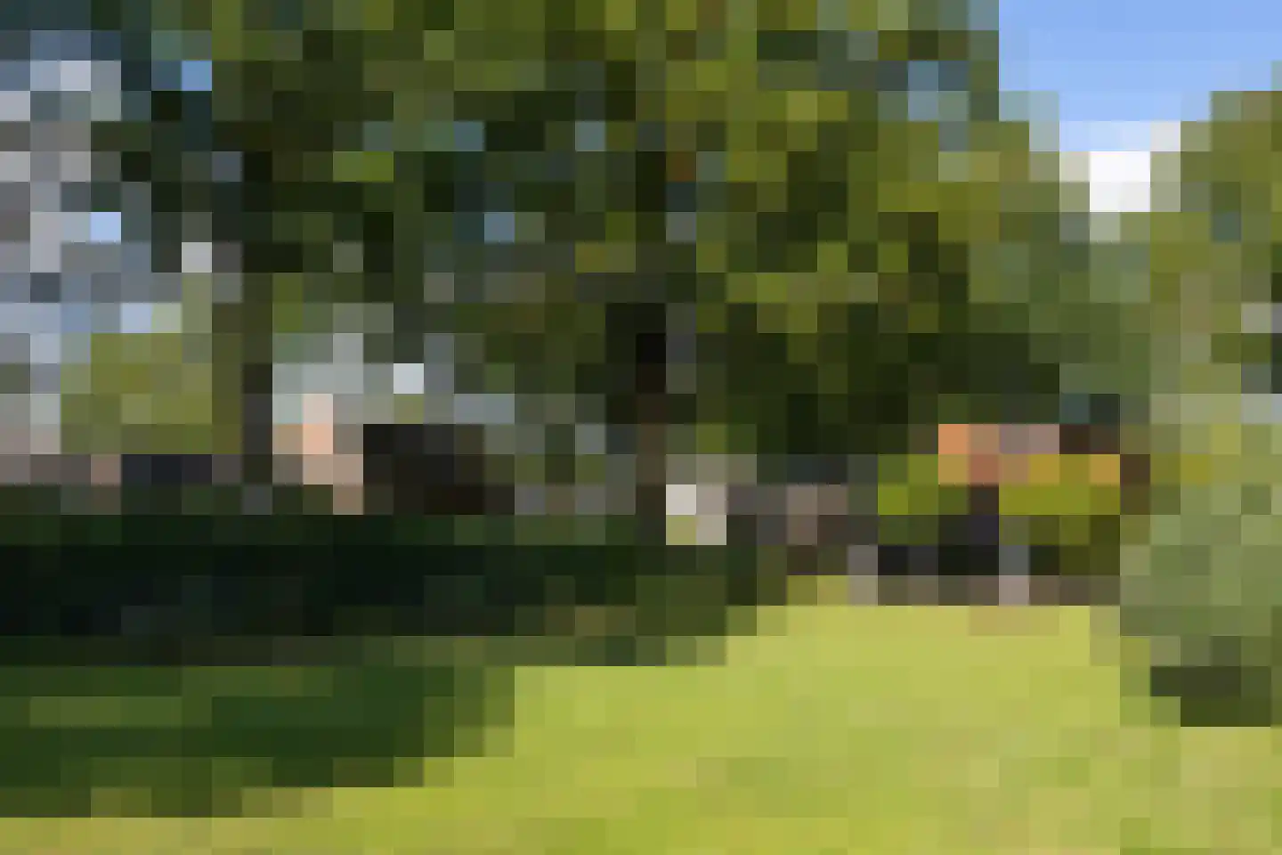 De Bleek 1 Liempde thumbnail 7