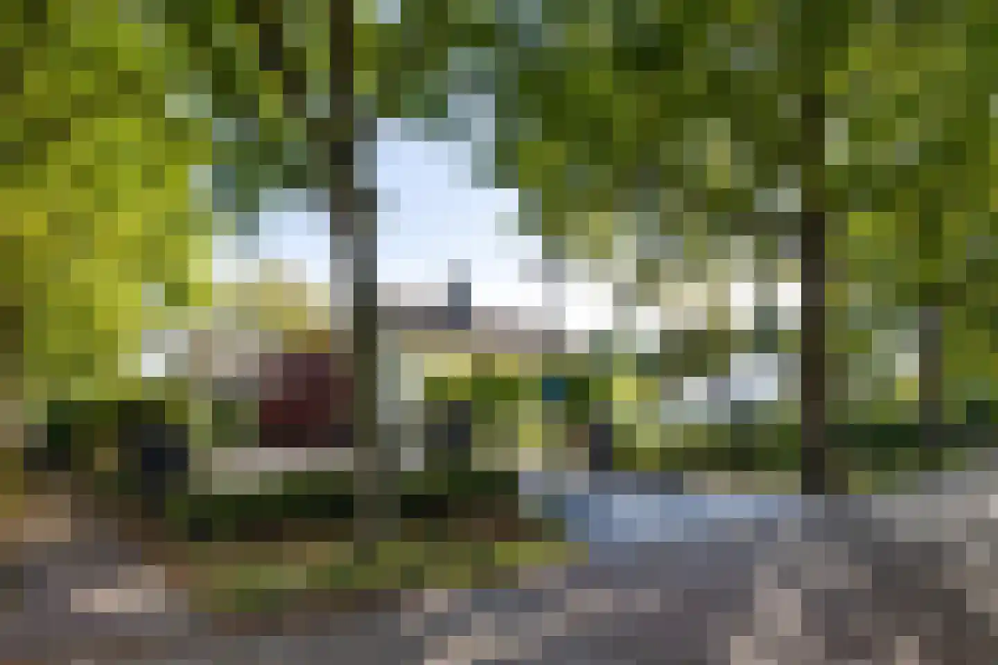 De Bleek 1 Liempde thumbnail 84